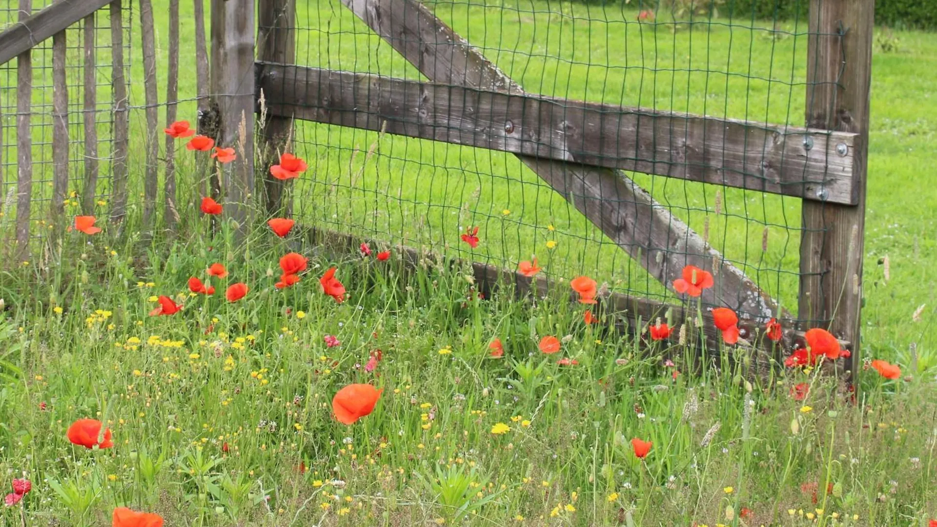 De Bosuil Bed & Breakfast Steensel