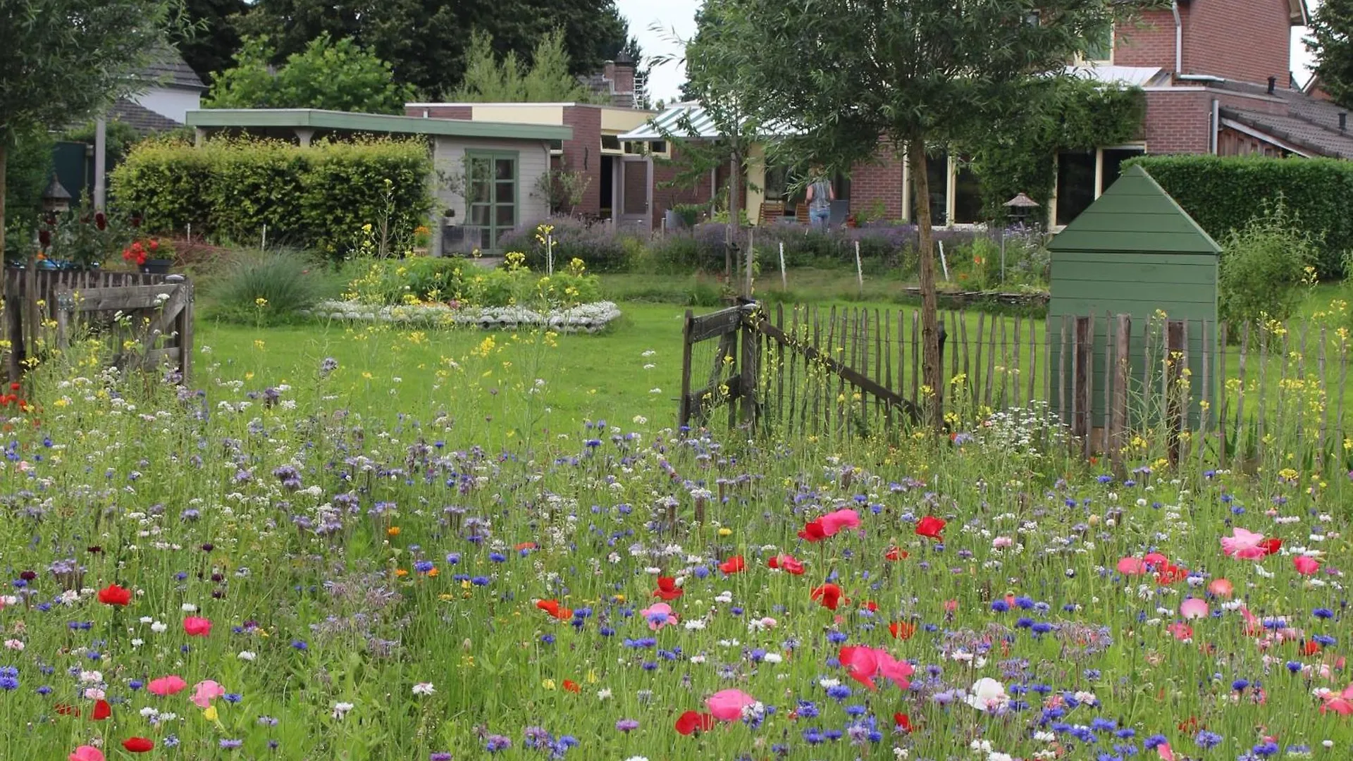 De Bosuil Bed & Breakfast Steensel
